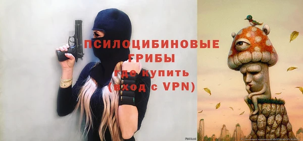 гидропоника Аркадак