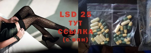 ПСИЛОЦИБИНОВЫЕ ГРИБЫ Белоозёрский