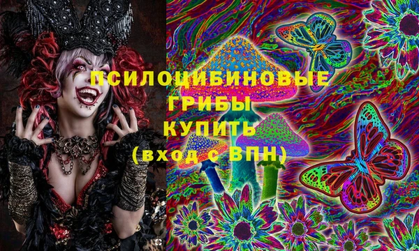 гидропоника Аркадак